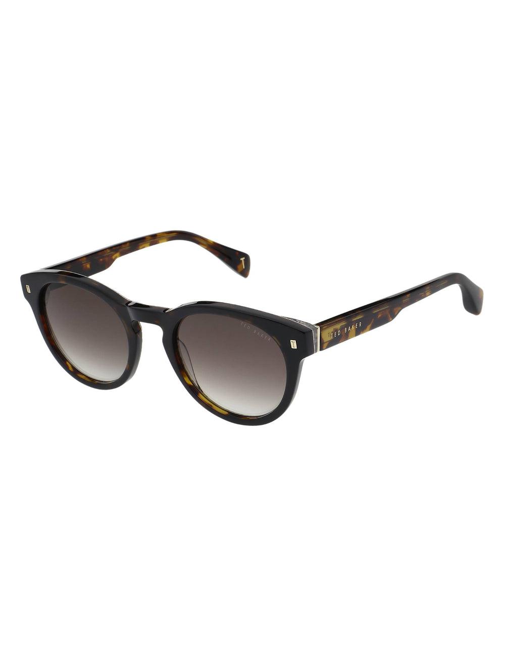 Brown Men Ted Baker DAX - Round Chunky Temple Sunglasses | NZ  ROYU-49527