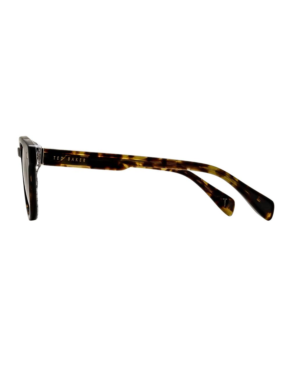 Brown Men Ted Baker DAX - Round Chunky Temple Sunglasses | NZ  ROYU-49527