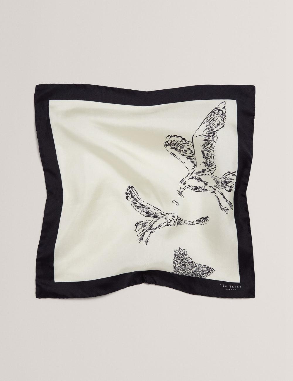 Ecru Men Ted Baker BENHALP - Seagull Graphic Silk Pocket Pocket Squares | NZ  DPWL-87169