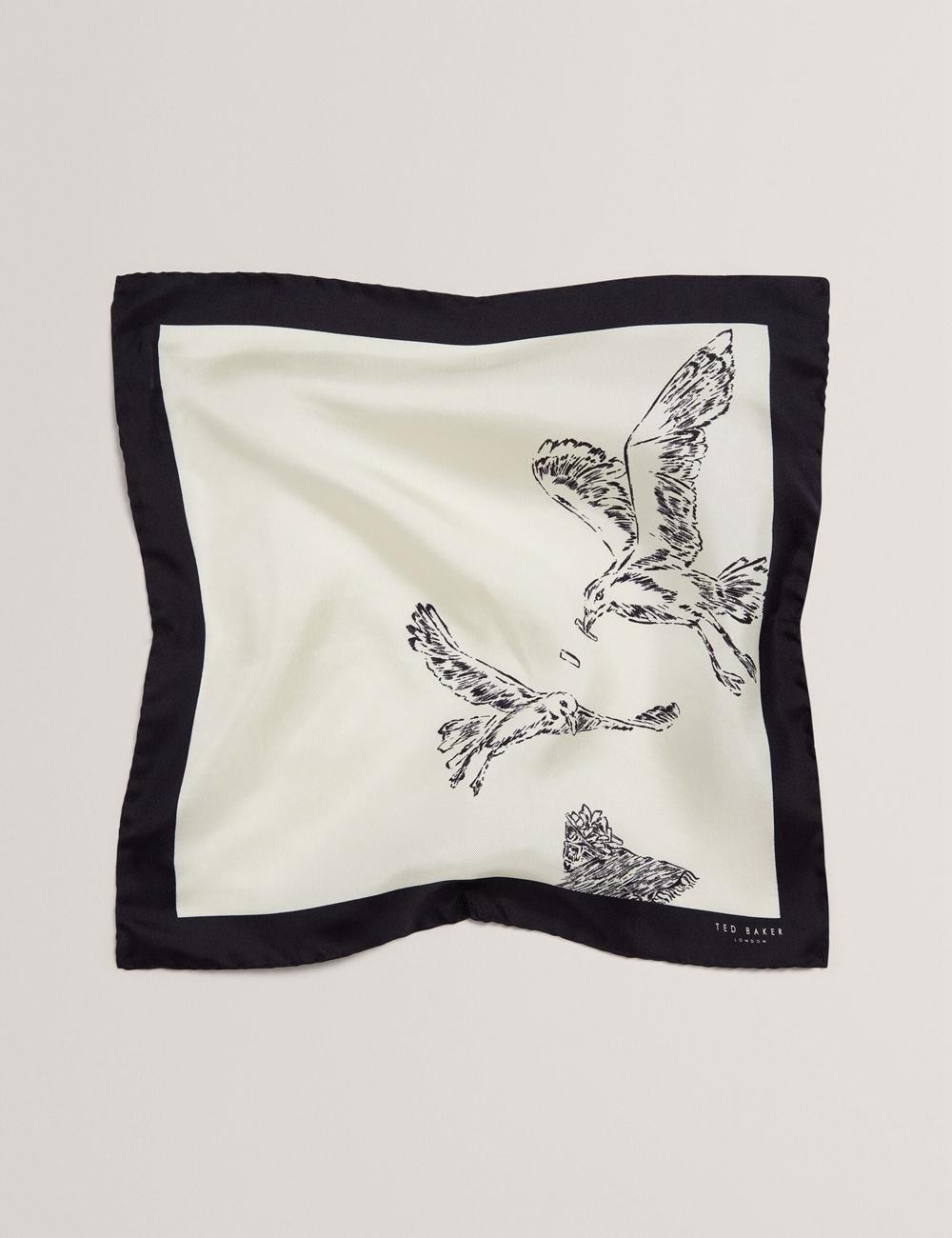 Ecru Men Ted Baker BENHALP - Seagull Graphic Silk Pocket Pocket Squares | NZ  DPWL-87169