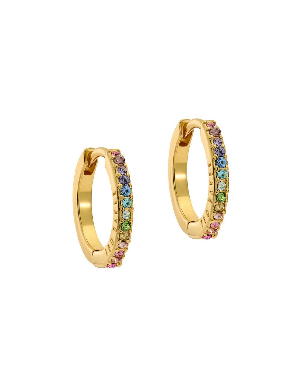 Multicol Women Ted Baker HEPLIE - Crystal Huggie Hoop Earrings | NZ  UBAY-56103