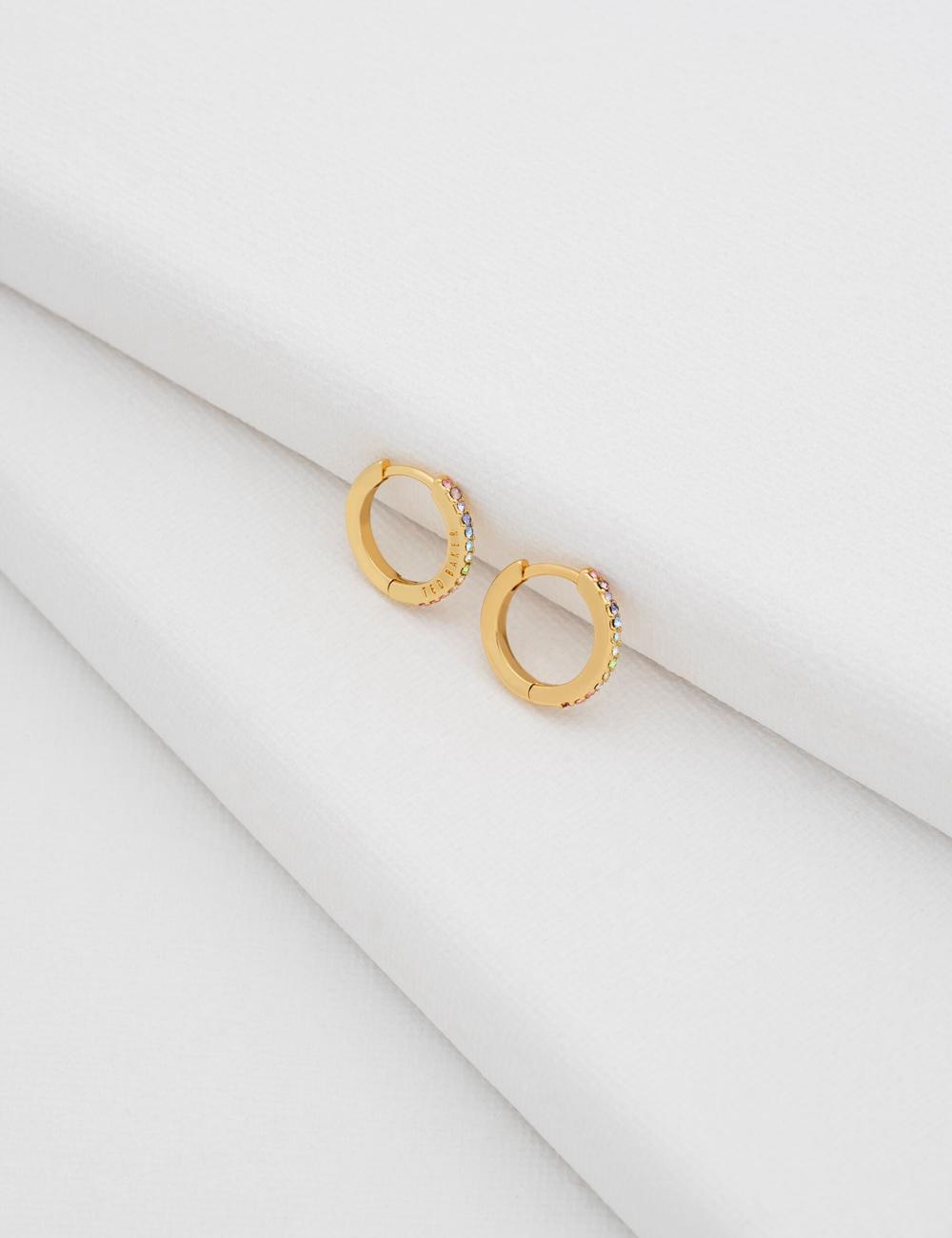 Multicol Women Ted Baker HEPLIE - Crystal Huggie Hoop Earrings | NZ  UBAY-56103